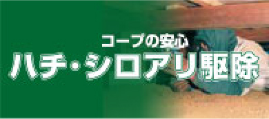 シロアリ・害虫駆除